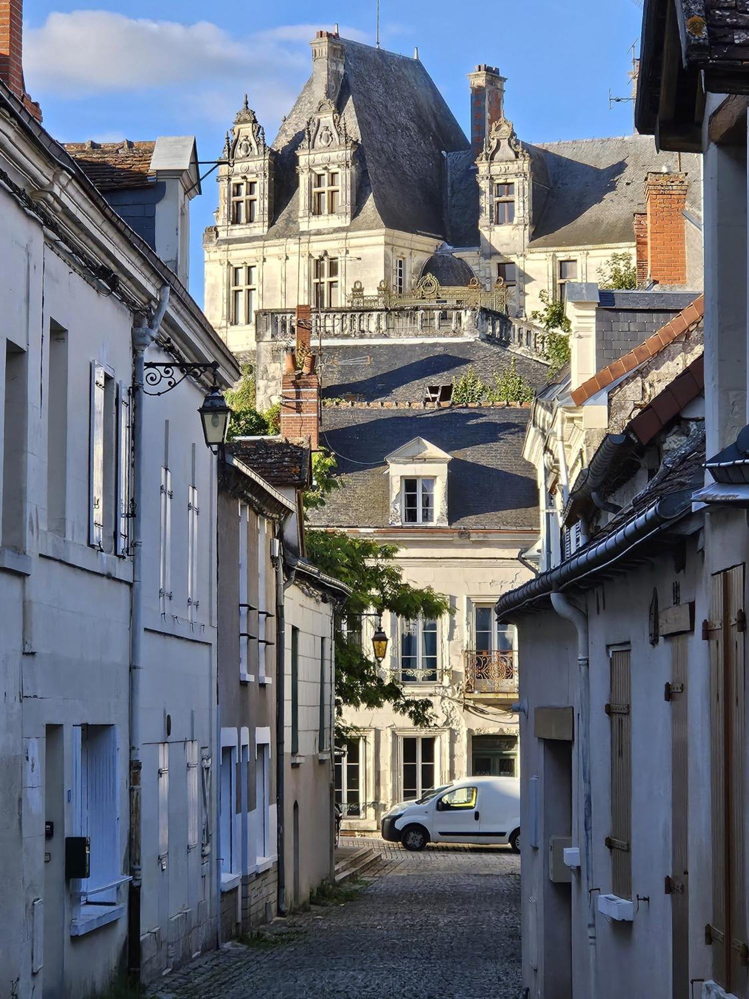 Regard Sur Le Chateau Saint-Aignan  Extérieur photo